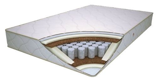 Отзывы Виолайт Корнель