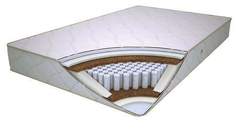 Отзывы Виолайт Маркиз