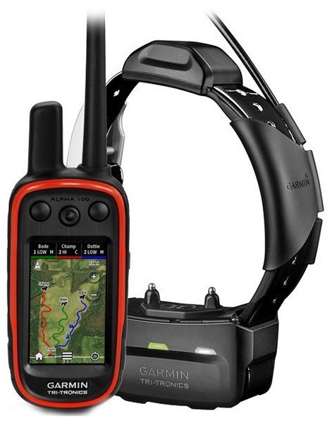 Отзывы Garmin Alpha 100 с ошейником TT 15