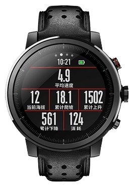 Отзывы Amazfit Stratos 2s Premium Edition