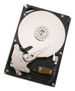 Отзывы HGST HUA721010KLA330