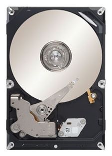 Отзывы Seagate ST3500312CS