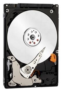 Отзывы Western Digital WD20NPVZ