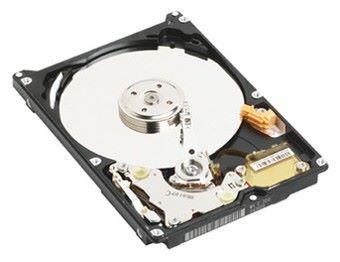 Отзывы Western Digital WD80PUZX