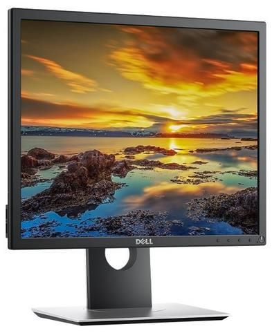 Отзывы DELL P1917S(Wh)