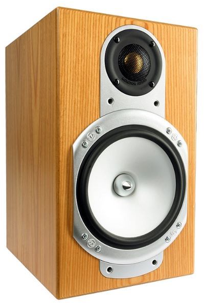 Отзывы Monitor Audio Silver RS 1