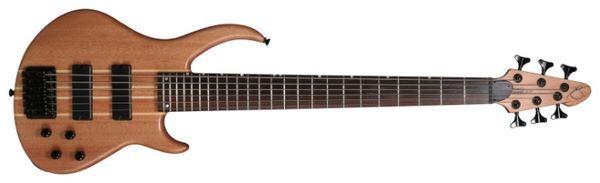 peavey 6 string bass guitar