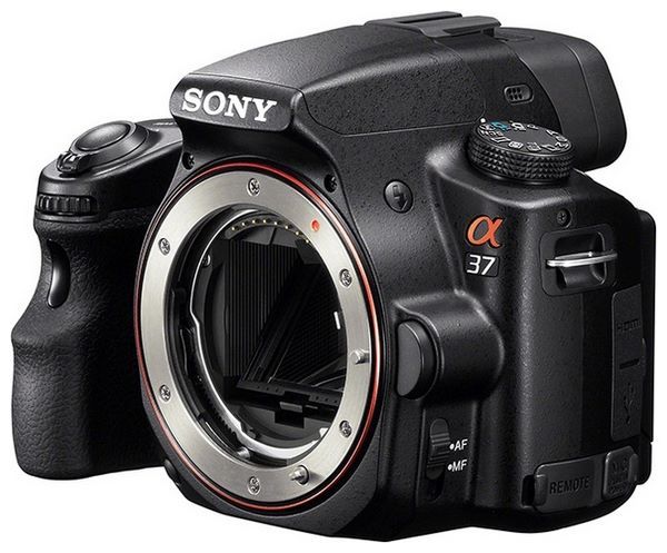 Отзывы Sony Alpha SLT-A37 Body