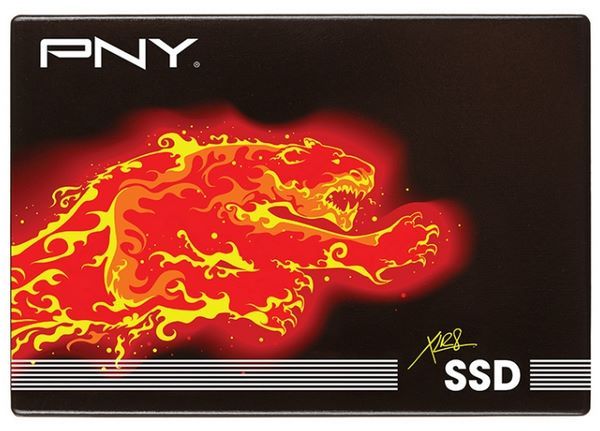 Отзывы PNY SSD7CS2111-960-RB