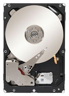 Отзывы Seagate ST1000NM0033