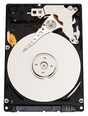 Отзывы Western Digital WD800BEVT