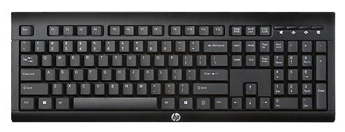 Отзывы HP K2500 (E5E78AA) Black USB