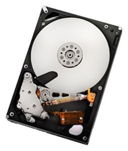 Отзывы HGST Deskstar 7K2000