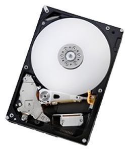 Отзывы HGST HDE721010SLA330