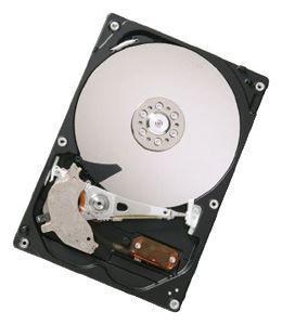 Отзывы HGST HDP725032GLA360