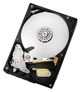 Отзывы HGST HDS5C1010CLA382