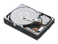 Отзывы HGST HDS721010KLA330