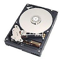 Отзывы HGST HDS722516VLSA80