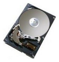 Отзывы HGST HDS728080PLAT20