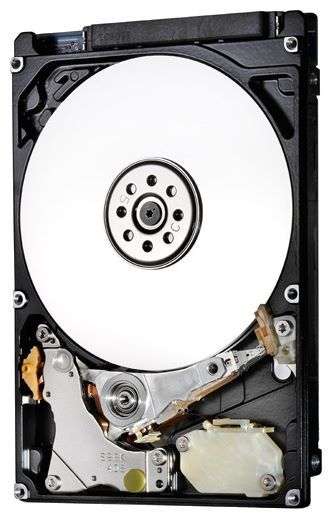 Отзывы HGST HTE721010A9E630