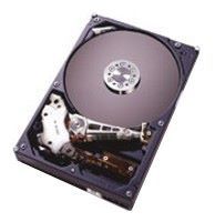 Отзывы HGST IC35L120AVV207