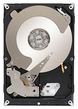 Отзывы Seagate ST1000NC001