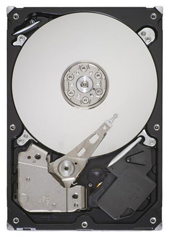 Отзывы Seagate ST250DM001