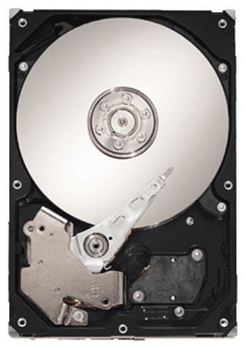 Отзывы Seagate ST310005N1D1AS-RK