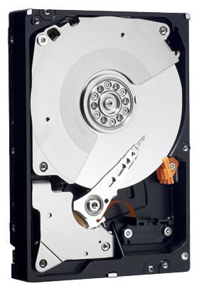Отзывы Western Digital WD1002FBYS