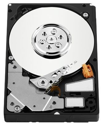 Отзывы Western Digital WD3000BLFS