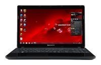 Отзывы Packard Bell EasyNote TV11HC