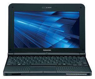 Отзывы Toshiba NB255-N250