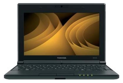 Отзывы Toshiba NB505-N508BL