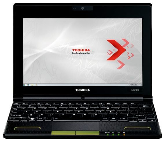 Отзывы Toshiba NB550D-110