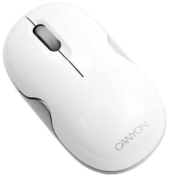 Отзывы Canyon CNR-MSBT01 White Bluetooth