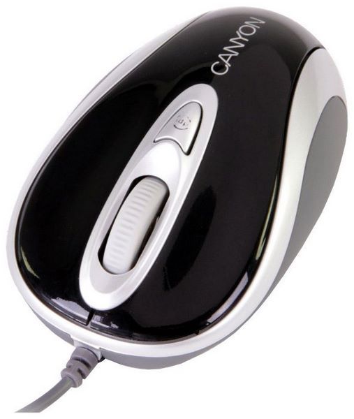 Отзывы Canyon CNR-MSD02 Black-Silver USB