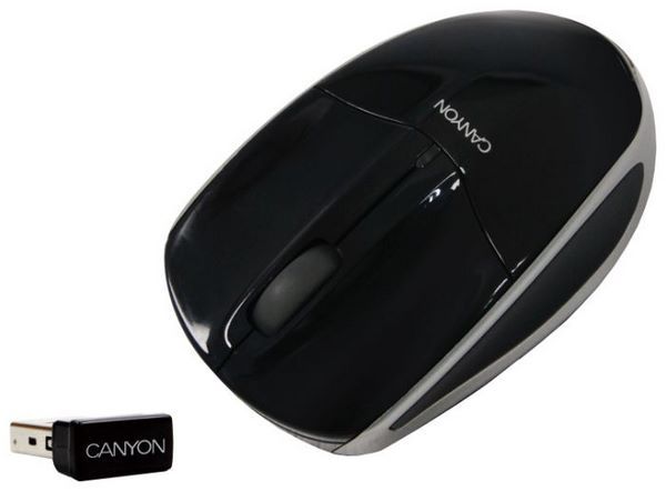 Отзывы Canyon CNR-MSLW02 Black-Silver USB