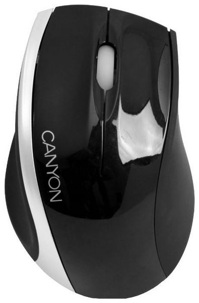 Отзывы Canyon CNR-MSO01S Black-Silver USB