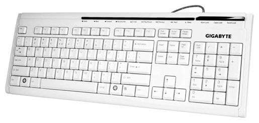 Отзывы GIGABYTE GK-K6150 White USB