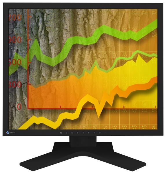 Отзывы Eizo FlexScan S1902SH