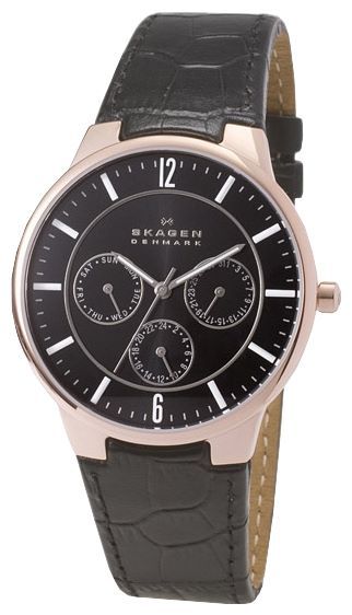 Отзывы Skagen 331XLRLB