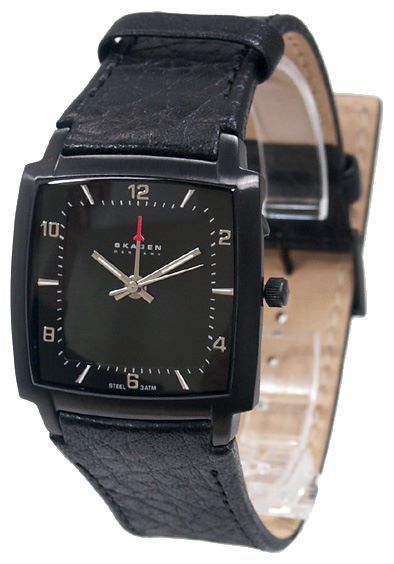 Отзывы Skagen 521LBLB1