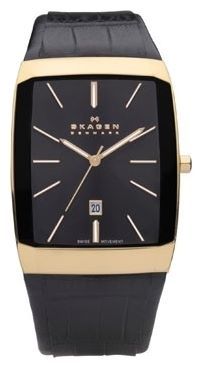 Отзывы Skagen 984LRLB