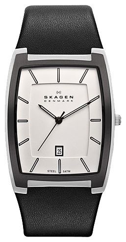 Отзывы Skagen SKW6003