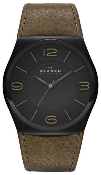 Отзывы Skagen SKW6042