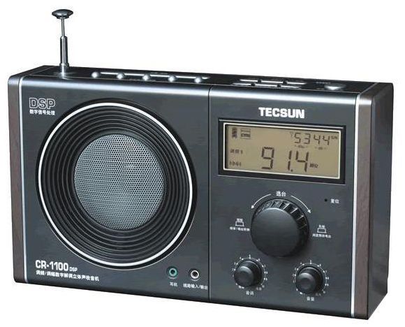 Отзывы Tecsun CR-1100DSP