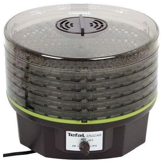 Отзывы Tefal Fruit Air DF 1008