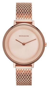 Отзывы Skagen SKW2334