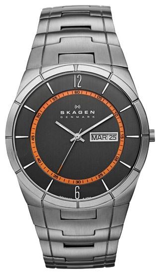 Отзывы Skagen SKW6008