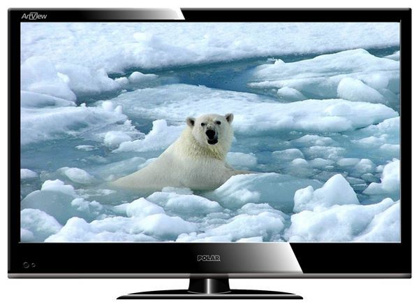 Отзывы Polar 48LTV6101